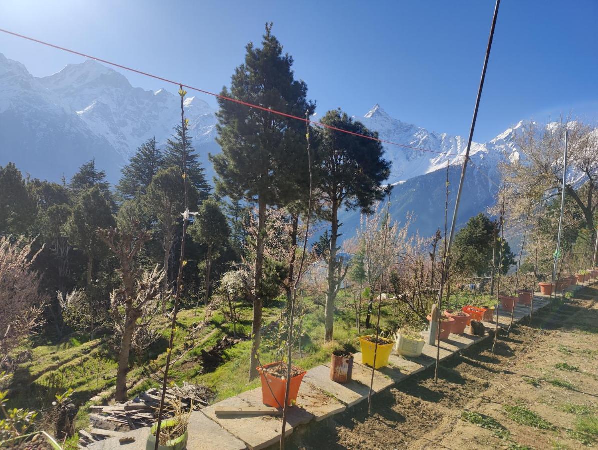 Silk Route Home Stay Калпа Екстер'єр фото